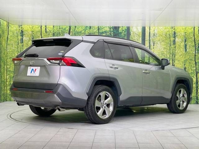 Toyota RAV4 2019-07 7967-17