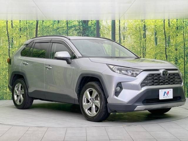 Toyota RAV4 2019-07 7967-16