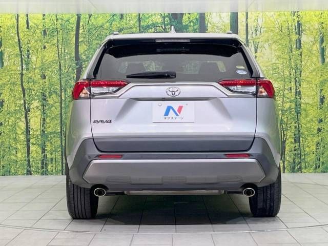 Toyota RAV4 2019-07 7967-15