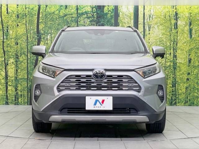 Toyota RAV4 2019-07 7967-14