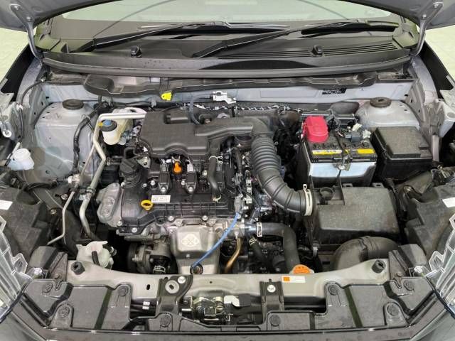 Toyota RAIZE 2023-05 21251-18