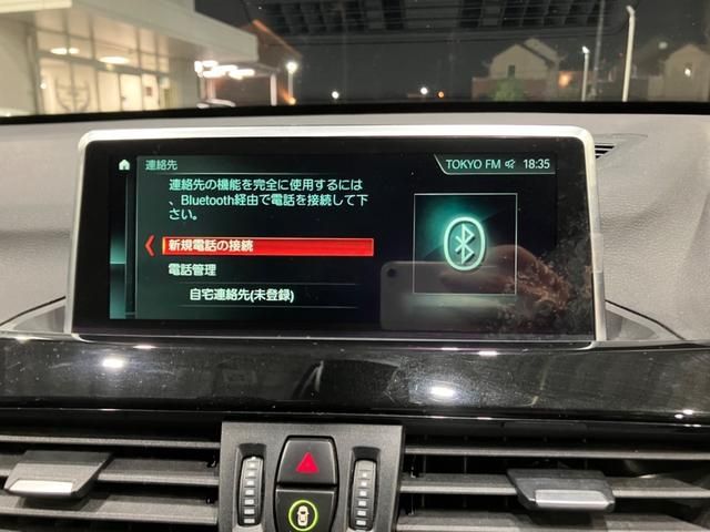 Bmw X1 2017-12 16225-28