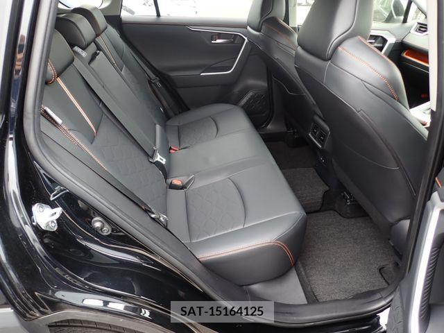 Toyota RAV4 2019-10 313126-14