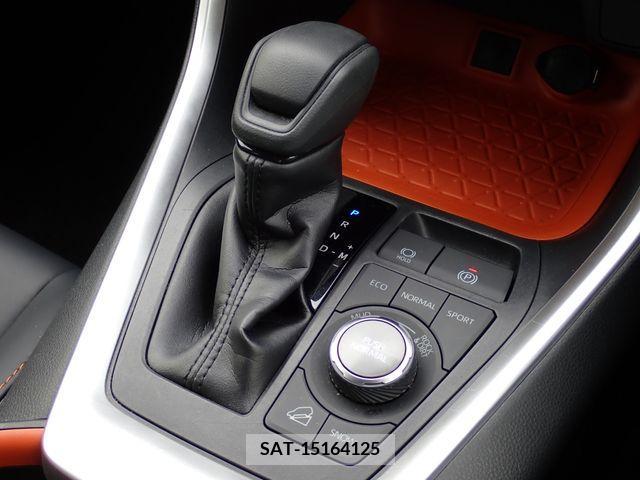 Toyota RAV4 2019-10 313126-7