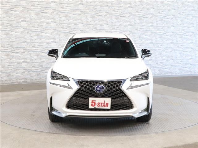 Lexus NX 2015-06 21896-5