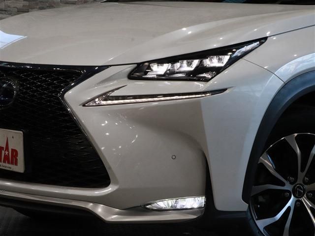 Lexus NX 2015-06 21896-8