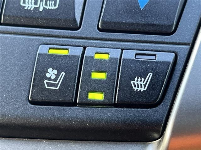 Lexus NX 2015-06 21896-16