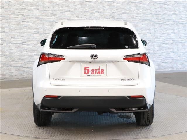 Lexus NX 2015-06 21896-7