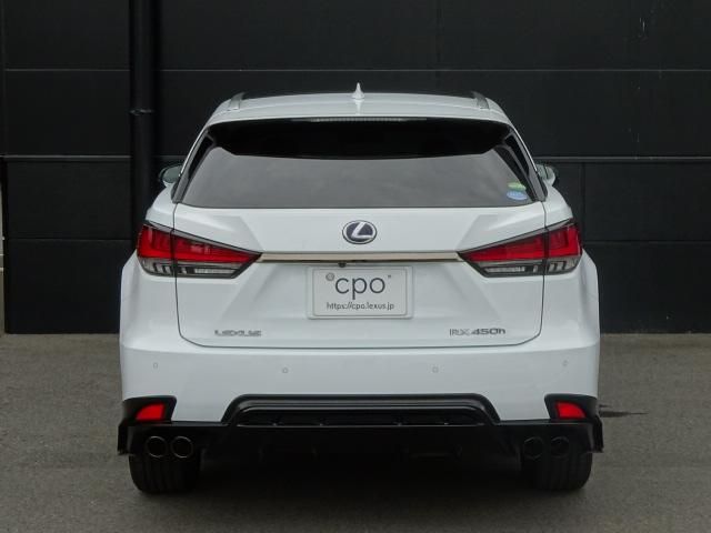 Lexus RX 2019-09 9180-4