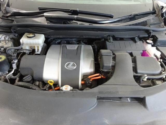 Lexus RX 2019-09 9180-18