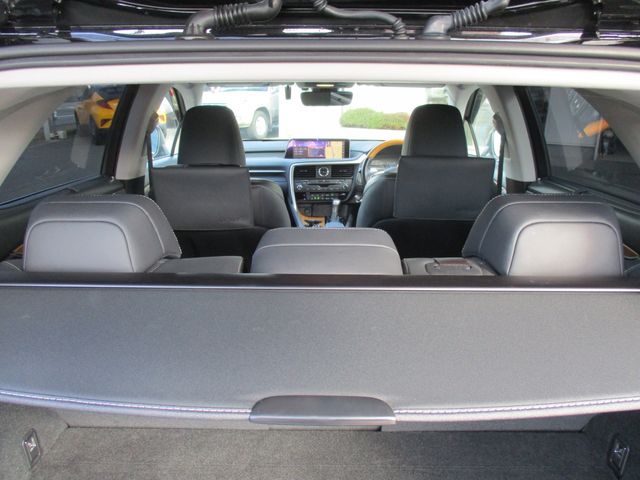 Lexus RX 2018-05 1125-7