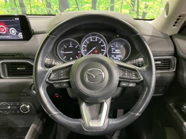 Mazda CX-5 2017-06 192622-8