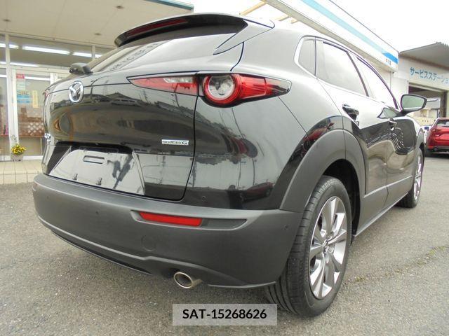 Mazda CX-30 2019-09 268607-3