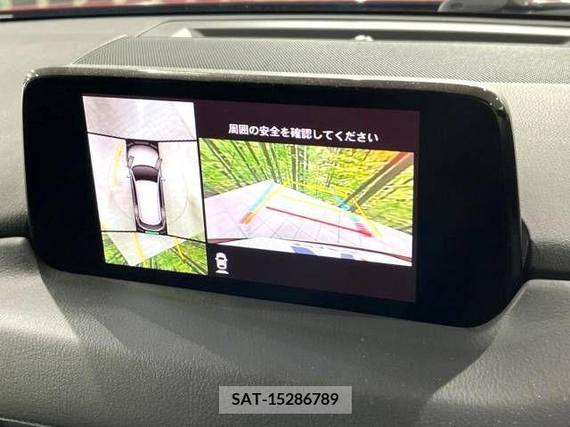 Mazda CX-8 2019-03 240615-4