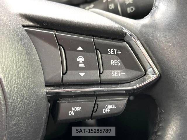 Mazda CX-8 2019-03 240615-6