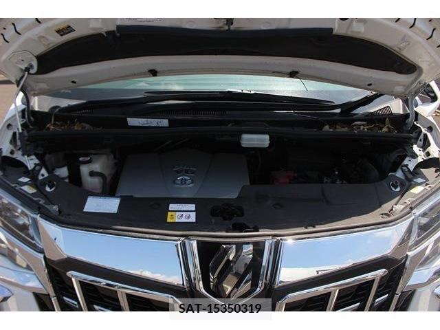 Toyota ALPHARD 2018-12 345496-18