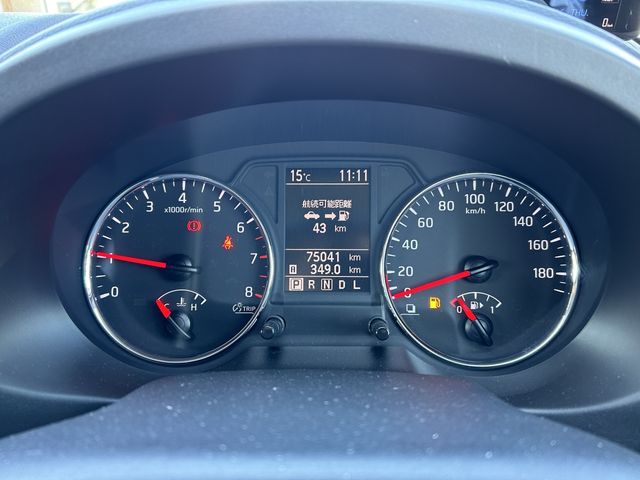 Nissan X-TRAIL 2011-07 29012-25