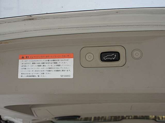 Mitsubishi DELICA D5 2007-08 4416-11
