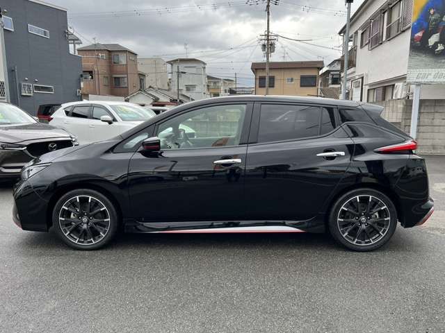 Nissan LEAF 2018-09 183733-4
