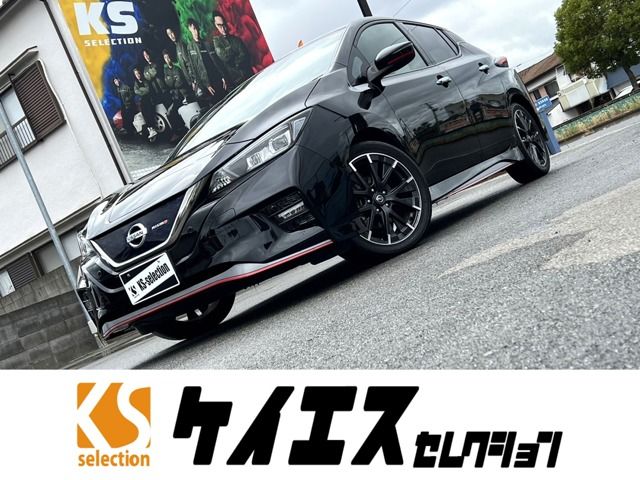 Nissan LEAF 2018-09 183733-0
