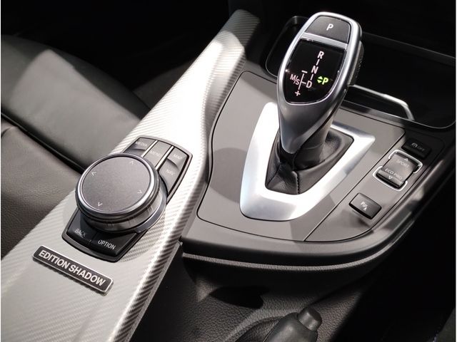 Bmw 3 SERIES 2018-11 193724-19