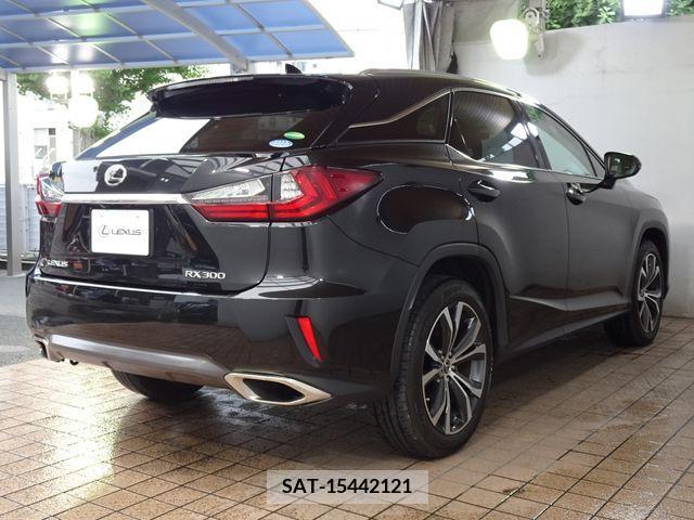Lexus RX 2018-07 334392-21