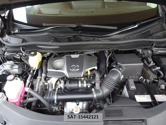 Lexus RX 2018-07 334392-28