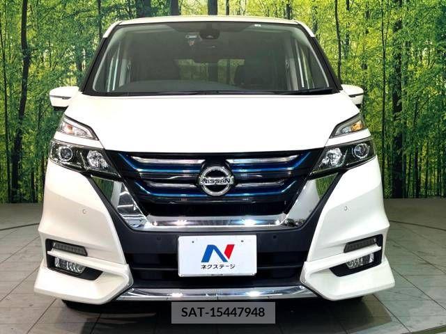 Nissan SERENA 2018-06 393861-14
