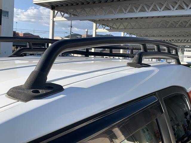 Toyota FJ CRUISER 2013-01 9100-6