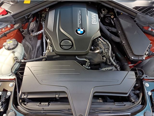 Bmw 1 SERIES 2017-08 195254-14