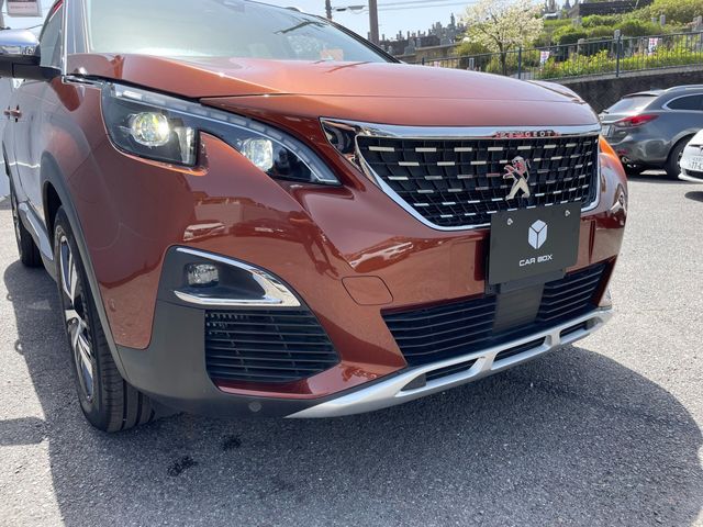 Peugeot 3008 2020-01 23188-4