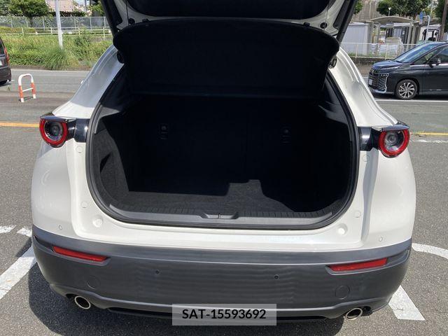 Mazda CX-30 2021-08 341338-17