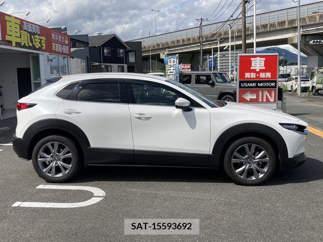 Mazda CX-30 2021-08 341338-23