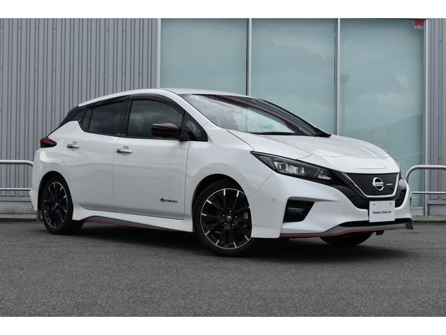 Nissan LEAF 2018-09 21870-23