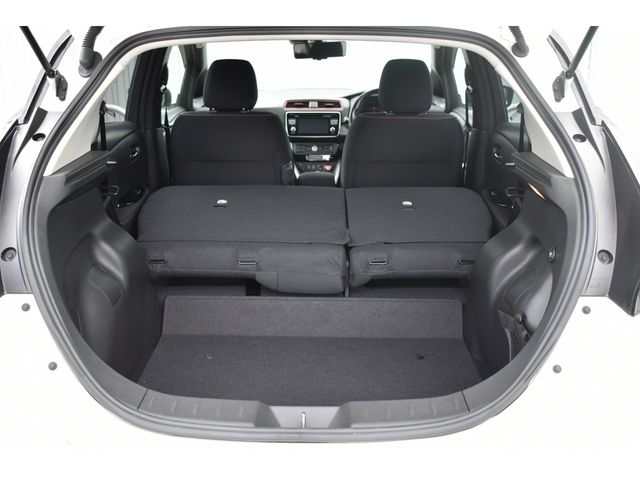 Nissan LEAF 2018-09 21870-19