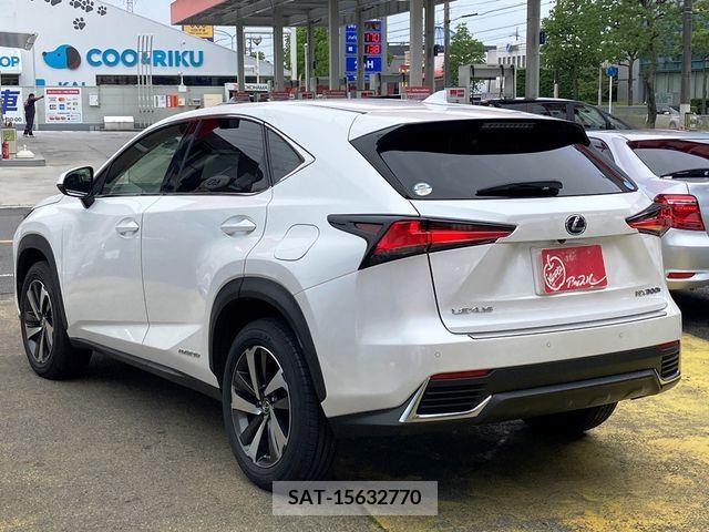 Lexus NX 2017-10 275683-4