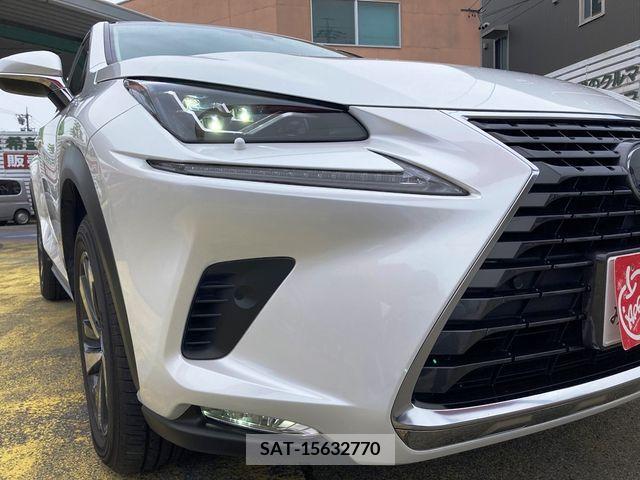 Lexus NX 2017-10 275683-7