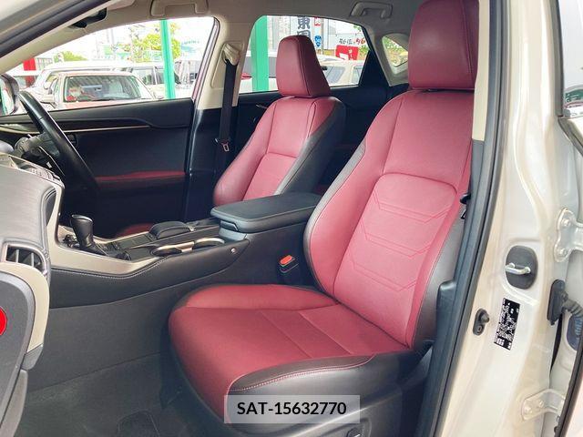 Lexus NX 2017-10 275683-11