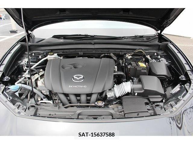 Mazda CX-30 2019-12 302102-18