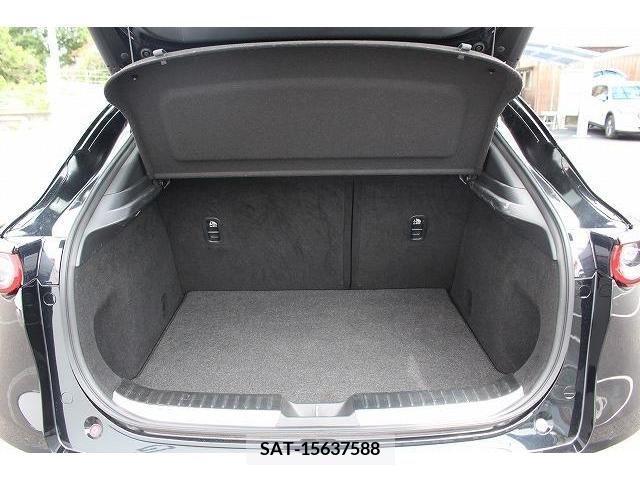 Mazda CX-30 2019-12 302102-17