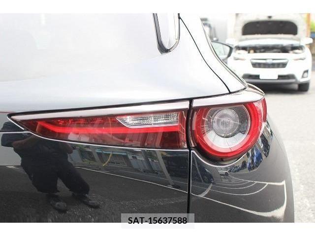 Mazda CX-30 2019-12 302102-11