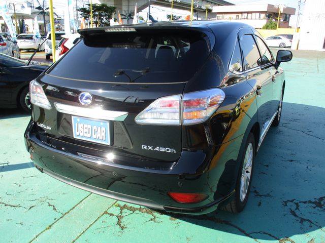 Lexus RX 2011-08 7243-1