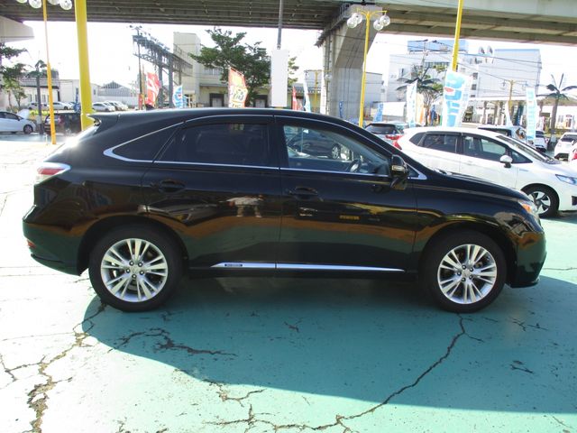Lexus RX 2011-08 7243-16