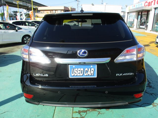 Lexus RX 2011-08 7243-18