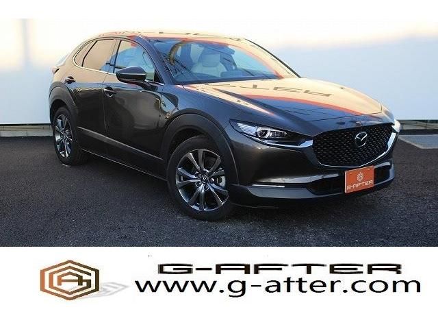 Mazda CX-30 2019-12 8748-0