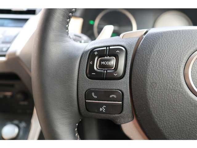 Lexus NX 2014-09 11496-8