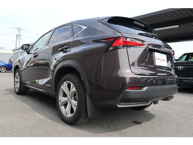 Lexus NX 2014-09 11496-17