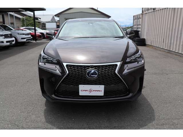 Lexus NX 2014-09 11496-3