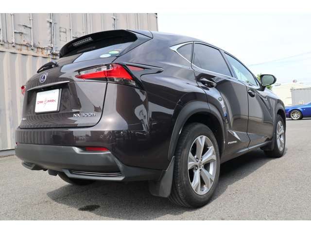 Lexus NX 2014-09 11496-13