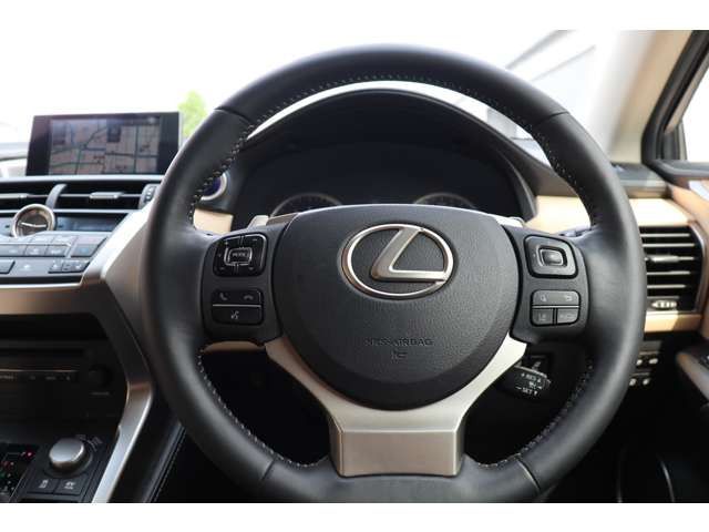 Lexus NX 2014-09 11496-6